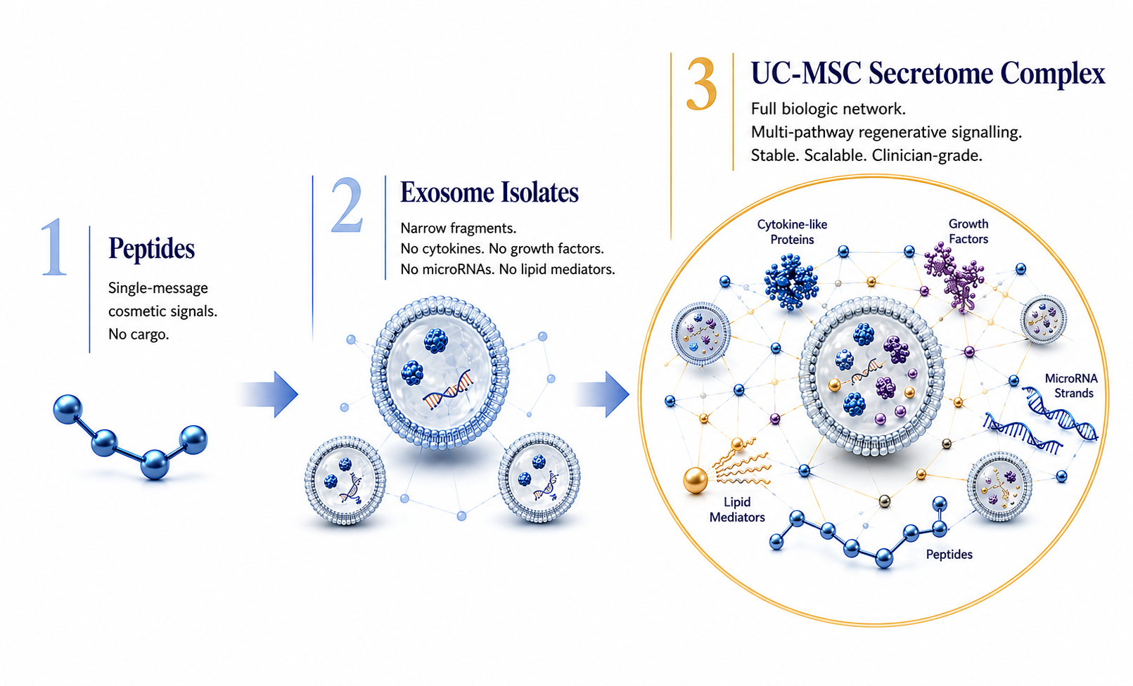 Market Positioning Peptides, Exosome Isolates, and Secretome Complex